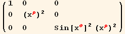 ( {{1, 0, 0}, {0, (x_�^�)^2, 0}, {0, 0, Sin[x_θ^θ]^2 (x_�^�)^2}} )