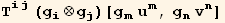 T_ (ij)^(ij) (g_i^i⊗g_j^j)[g_m^m u_m^m, g_n^n v_n^n]