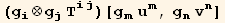 (g_i^i⊗g_j^j T_ (ij)^(ij))[g_m^m u_m^m, g_n^n v_n^n]