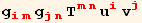 g_ (im)^(im) g_ (jn)^(jn) T_ (mn)^(mn) u_i^i v_j^j