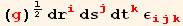 (g)^1/2 dr_i^i ds_j^j dt_k^k ε_ (ijk)^(ijk)