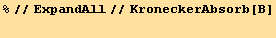 %//ExpandAll//KroneckerAbsorb[Β] 